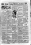 Loftus Advertiser Friday 28 February 1902 Page 7