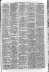 Loftus Advertiser Friday 07 March 1902 Page 5