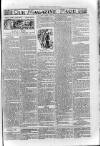 Loftus Advertiser Friday 14 March 1902 Page 7