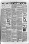 Loftus Advertiser Friday 24 October 1902 Page 7