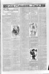 Loftus Advertiser Friday 02 January 1903 Page 7