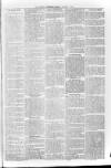 Loftus Advertiser Friday 09 January 1903 Page 5