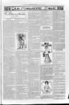 Loftus Advertiser Friday 09 January 1903 Page 7