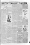 Loftus Advertiser Friday 23 January 1903 Page 7