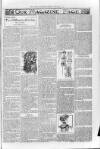 Loftus Advertiser Friday 30 January 1903 Page 7