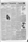 Loftus Advertiser Friday 13 February 1903 Page 7