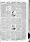 Loftus Advertiser Friday 03 April 1903 Page 3