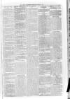 Loftus Advertiser Friday 04 September 1903 Page 5