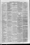 Loftus Advertiser Friday 24 June 1904 Page 5
