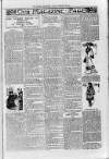 Loftus Advertiser Friday 22 January 1904 Page 7