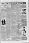 Loftus Advertiser Friday 29 January 1904 Page 7