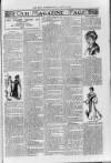 Loftus Advertiser Friday 05 February 1904 Page 7