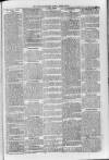Loftus Advertiser Friday 18 March 1904 Page 5