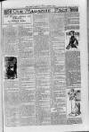 Loftus Advertiser Friday 18 March 1904 Page 7