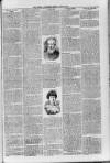 Loftus Advertiser Friday 01 April 1904 Page 3