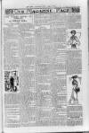 Loftus Advertiser Friday 01 April 1904 Page 7
