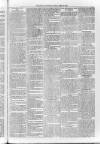Loftus Advertiser Friday 22 April 1904 Page 5