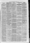 Loftus Advertiser Friday 06 January 1905 Page 5