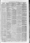 Loftus Advertiser Friday 20 January 1905 Page 5