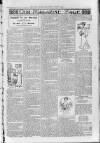 Loftus Advertiser Friday 03 February 1905 Page 7
