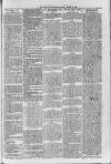 Loftus Advertiser Friday 03 March 1905 Page 5