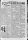 Loftus Advertiser Friday 17 March 1905 Page 7