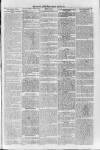 Loftus Advertiser Friday 28 July 1905 Page 5