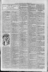 Loftus Advertiser Friday 27 October 1905 Page 7