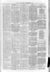 Loftus Advertiser Friday 09 February 1906 Page 3