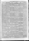 Loftus Advertiser Friday 23 April 1909 Page 5