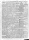 Loftus Advertiser Friday 05 January 1912 Page 5