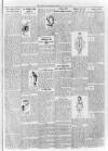 Loftus Advertiser Friday 03 January 1913 Page 3