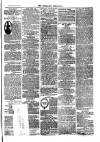 Nuneaton Chronicle Saturday 12 April 1873 Page 5