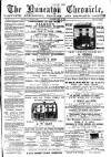 Nuneaton Chronicle Saturday 28 June 1873 Page 1