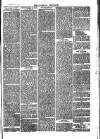 Nuneaton Chronicle Saturday 08 November 1873 Page 3
