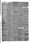 Nuneaton Chronicle Saturday 15 April 1876 Page 3