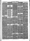 Nuneaton Chronicle Saturday 07 April 1877 Page 3