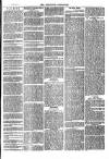 Nuneaton Chronicle Saturday 05 May 1877 Page 3