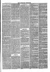 Nuneaton Chronicle Saturday 29 September 1877 Page 3