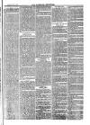 Nuneaton Chronicle Saturday 03 November 1877 Page 3