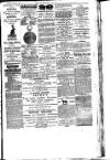 Nuneaton Chronicle Saturday 18 January 1879 Page 5