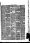 Nuneaton Chronicle Saturday 25 January 1879 Page 7