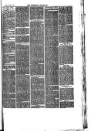 Nuneaton Chronicle Saturday 15 February 1879 Page 3