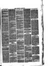 Nuneaton Chronicle Saturday 22 March 1879 Page 3