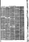 Nuneaton Chronicle Saturday 19 April 1879 Page 7