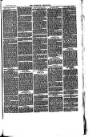 Nuneaton Chronicle Friday 29 August 1879 Page 3