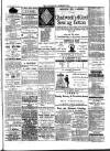 Nuneaton Chronicle Friday 13 January 1882 Page 5