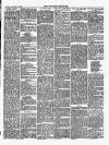 Nuneaton Chronicle Friday 04 January 1889 Page 3