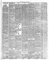 Nuneaton Chronicle Friday 25 April 1890 Page 3