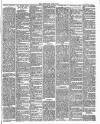 Nuneaton Chronicle Friday 09 May 1890 Page 7